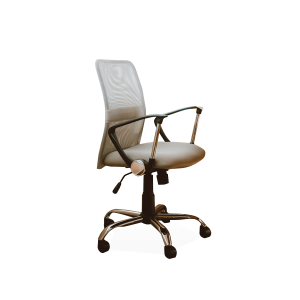 working chair with armrest