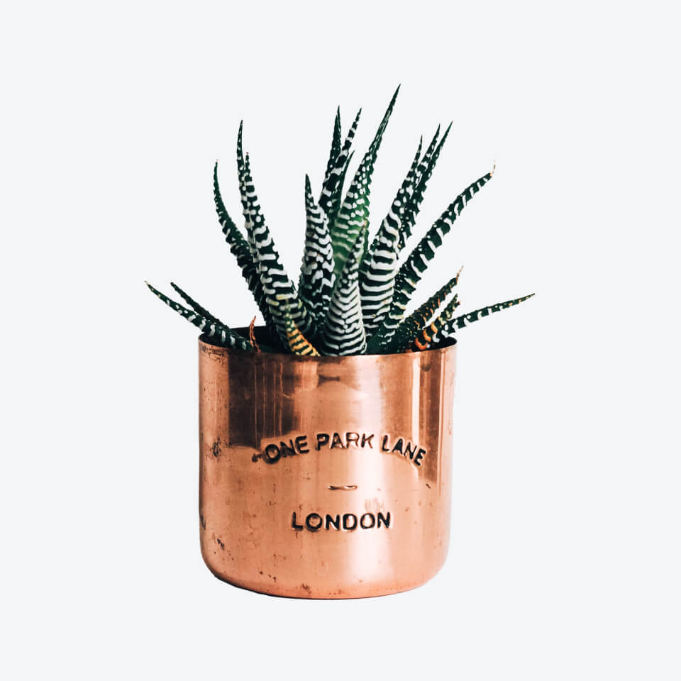 office furniture store product img 25